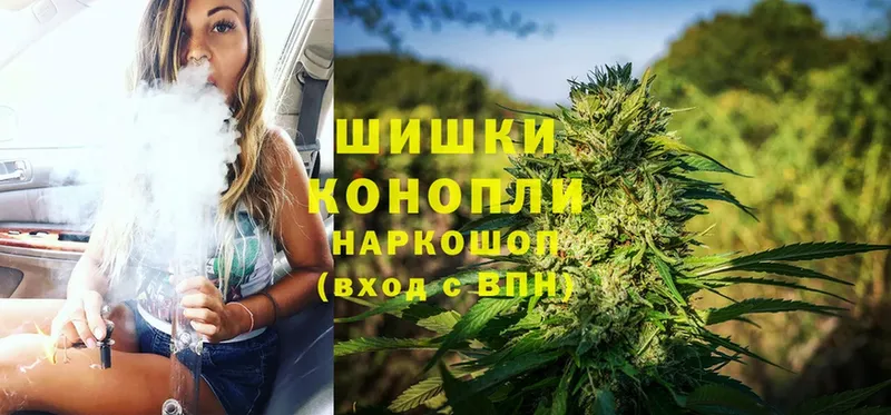 Конопля Bruce Banner  где купить наркотик  Слюдянка 